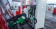 "Letnie" paliwo na stacjach benzynowych. Poradzi sobie nawet w obecnych warunkach