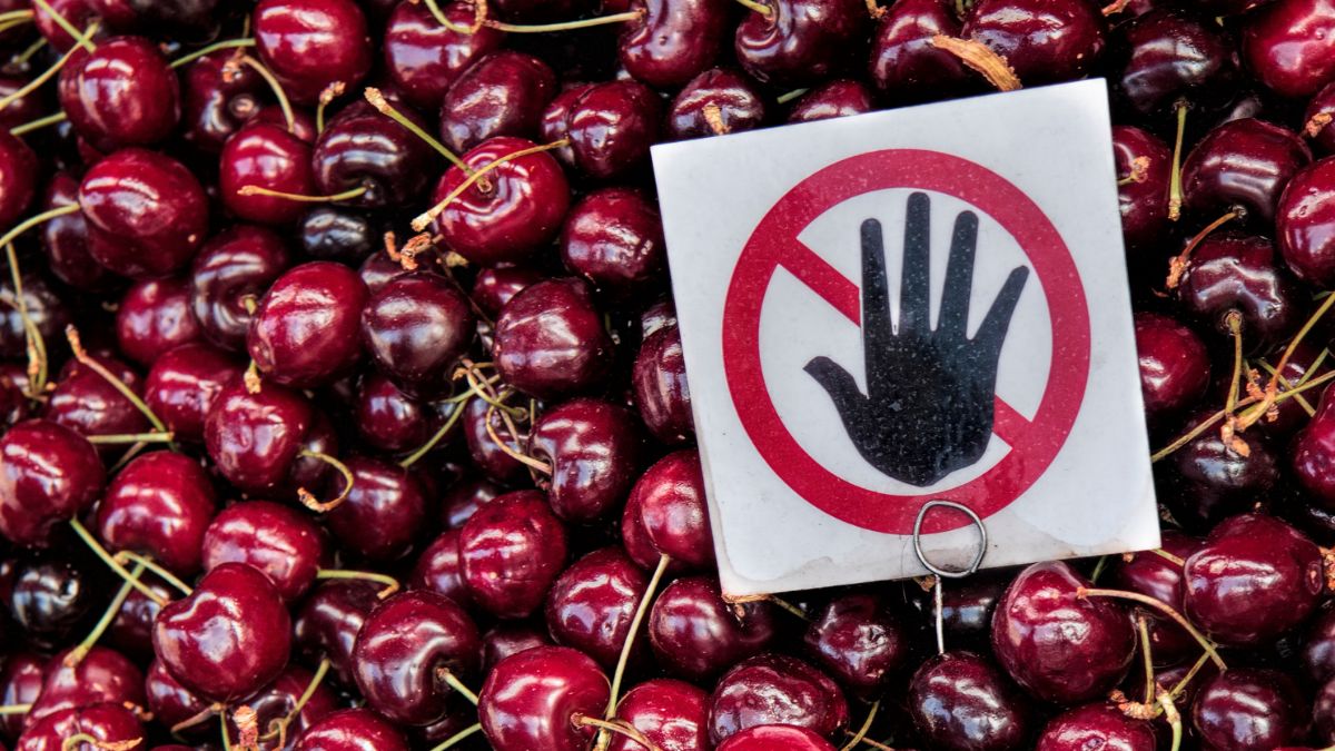 Czy warto jeść czereśnie?