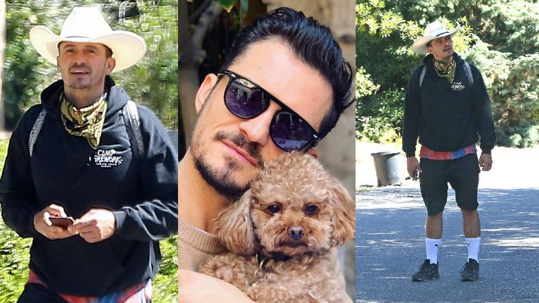 Pies Orlando Blooma zaginął