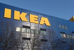 IKEA chce przyjąć uchodźców. Już ponad 30 zgłoszeń w rekrutacji