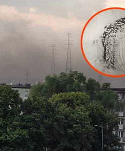 "Fundują nam festiwal kurzu". Port Gdański wydał miliony, mieszkańcy protestują