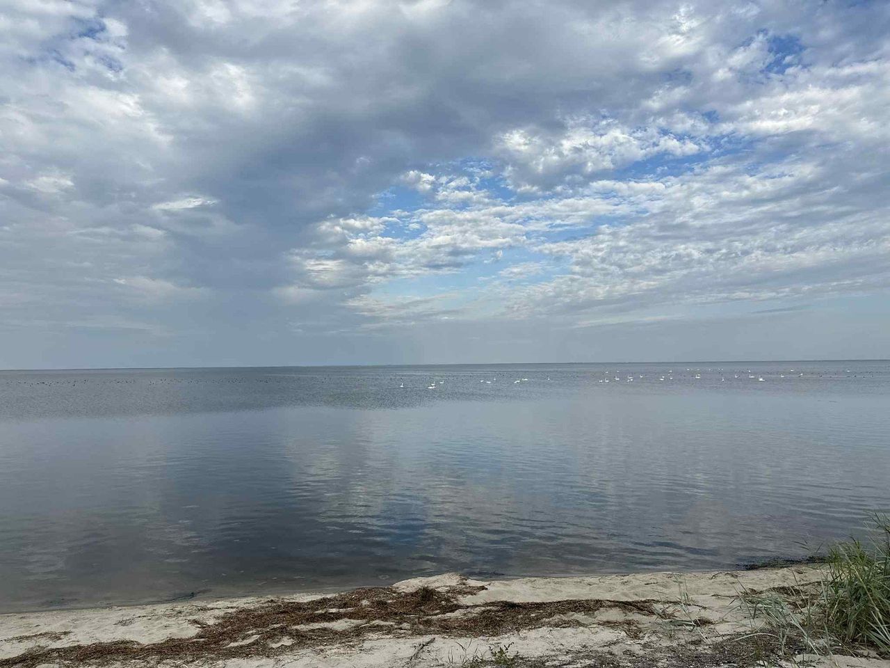 Natura pięknie maluje świat. Rezerwat przyrody z fantastyczną ścieżką turystyczną nad zatoką