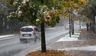 Pogoda. Ciepło, chłód, ulewy i wichury. To będzie bardzo dynamiczny tydzień!