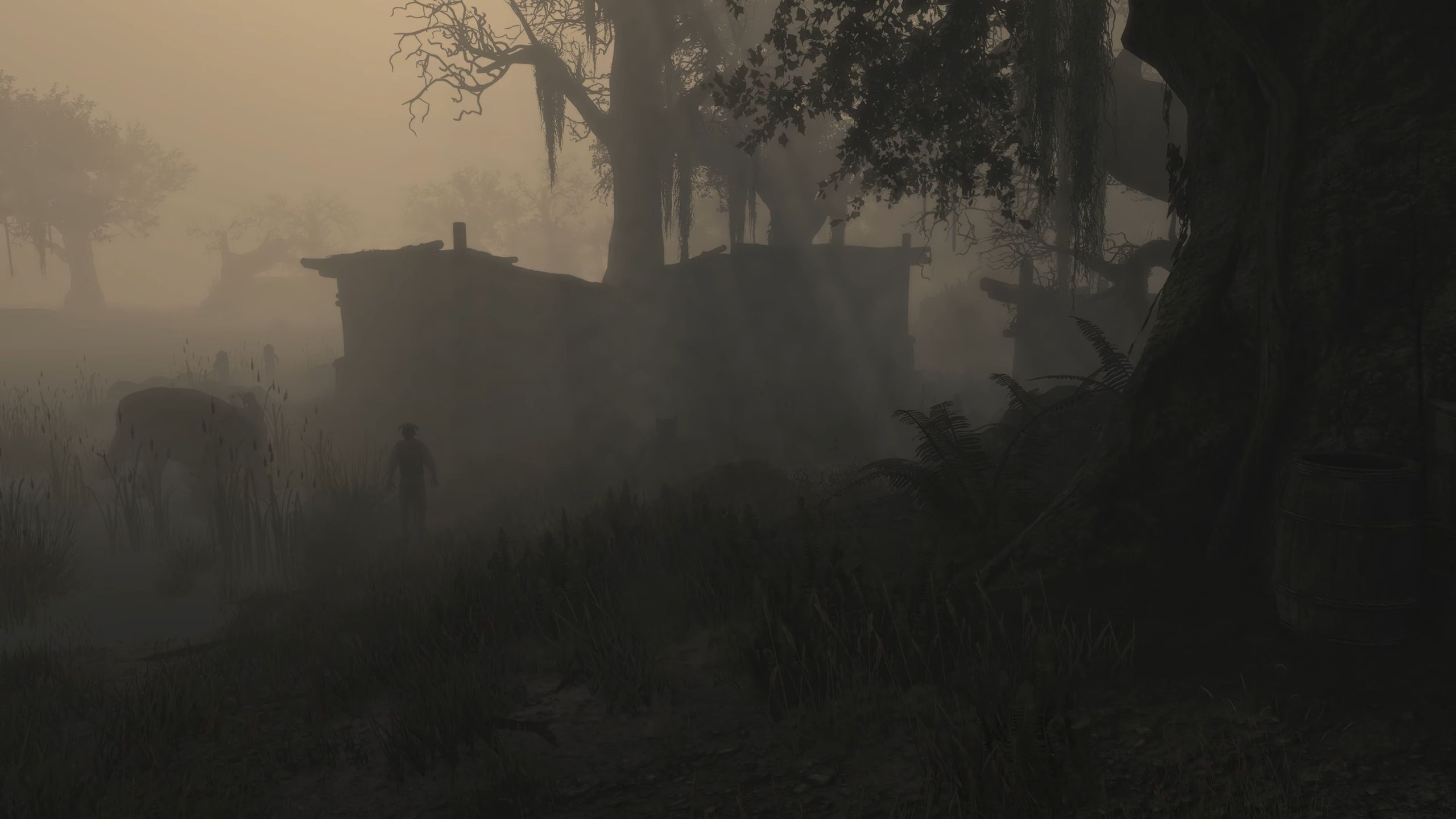 Skywind