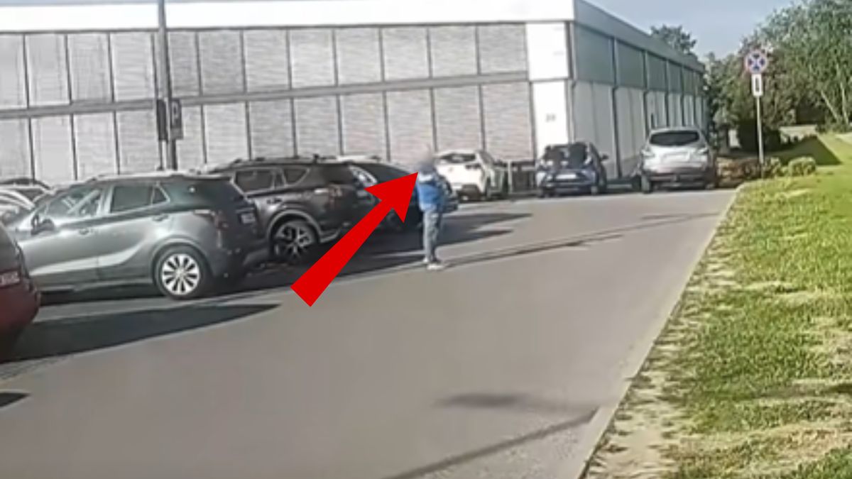 Zostawił psa w aucie. Zawrzało przed Lidlem w Krakowie.