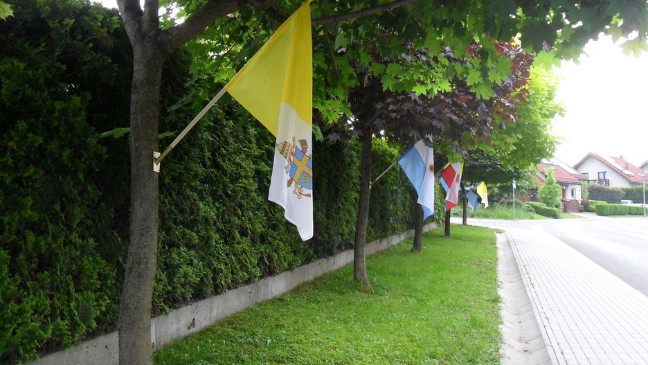 Fot. Ratujmy drzewa na Śląsku Cieszyńskim