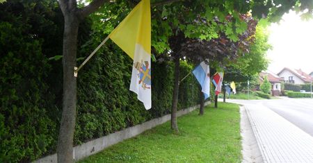 Afera w Cieszynie. Procesja przeszła, drzewa nadal okaleczone