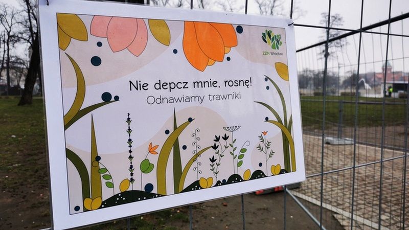 Wrocław. Renowacja trawników na Wyspie Słodowej. "Nie depcz mnie, rosnę!"