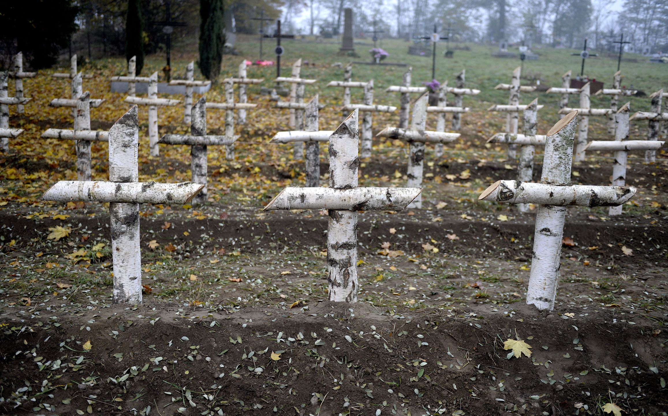 Cmentarz �o�nierzy Wojska Polskiego
Darek Delmanowicz
cmentarz, kresy, krzy�, krzy�e, mogi�a, mogi�y, nekropolia, ukraina, walki o lw�w, polscy, wojsko polskie, �o�nierze