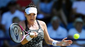 Wimbledon: Agnieszka Radwańska po raz 13. w Londynie. Rumuńska debiutantka pierwszą rywalką
