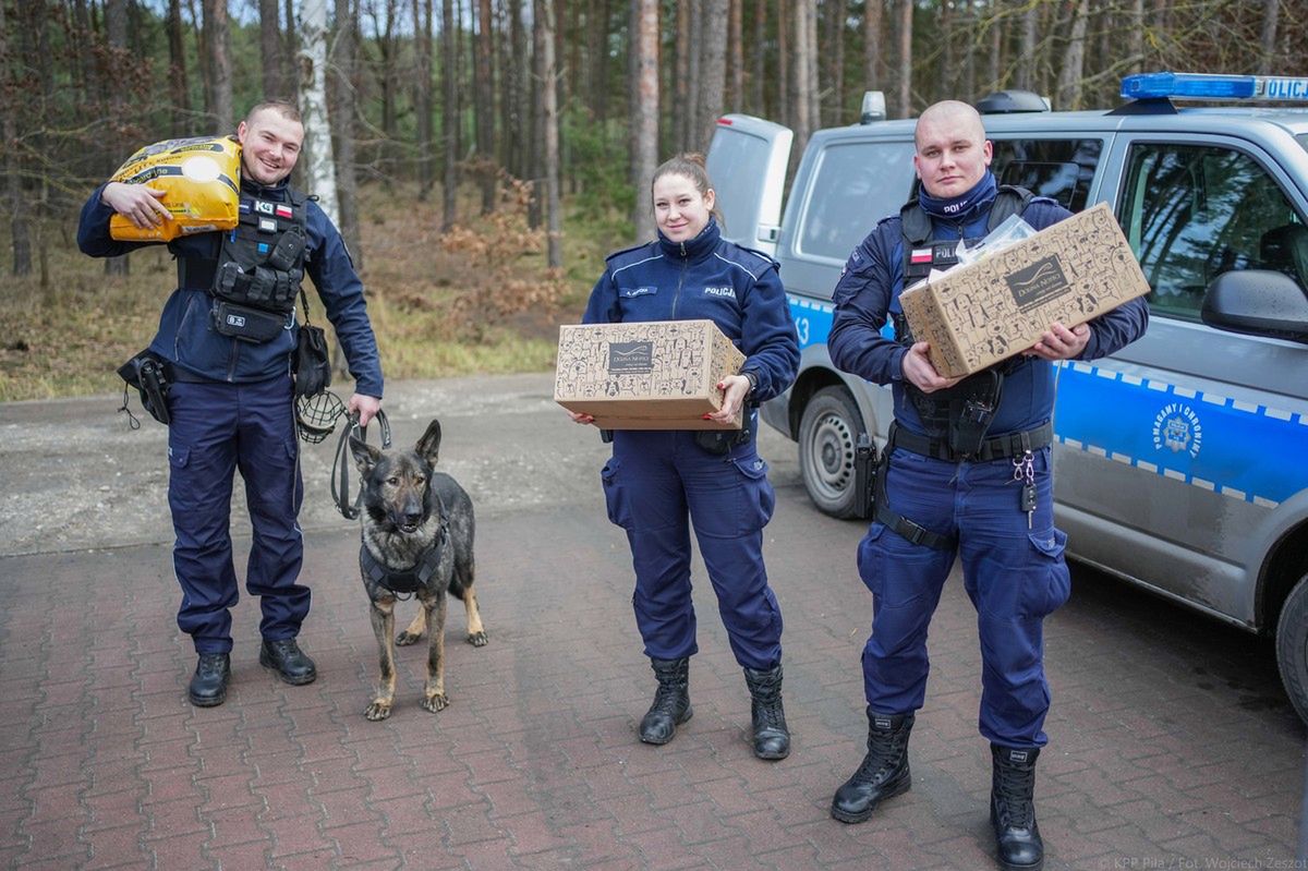 Policjanci zamiast fajerwerków kupili karmę dla psów