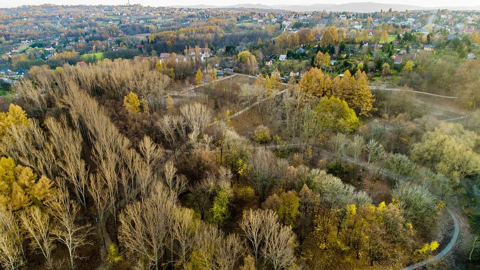 Budowa w Wieliczce olbrzymiego parku na Stoku Pod Baranem zmierza do końca (wieliczkacity.pl)