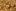 417850992836826994