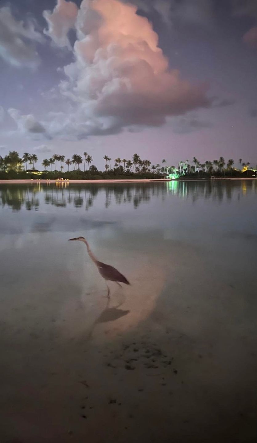 Egzotyczna Wielkanoc Katarzyny Cichopek
