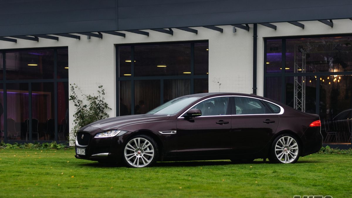 Zdjęcie ilustracyjne do artykułu