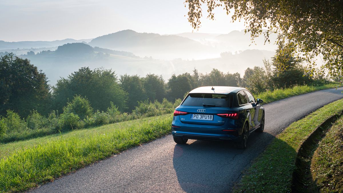 Zdjęcie ilustracyjne do artykułu