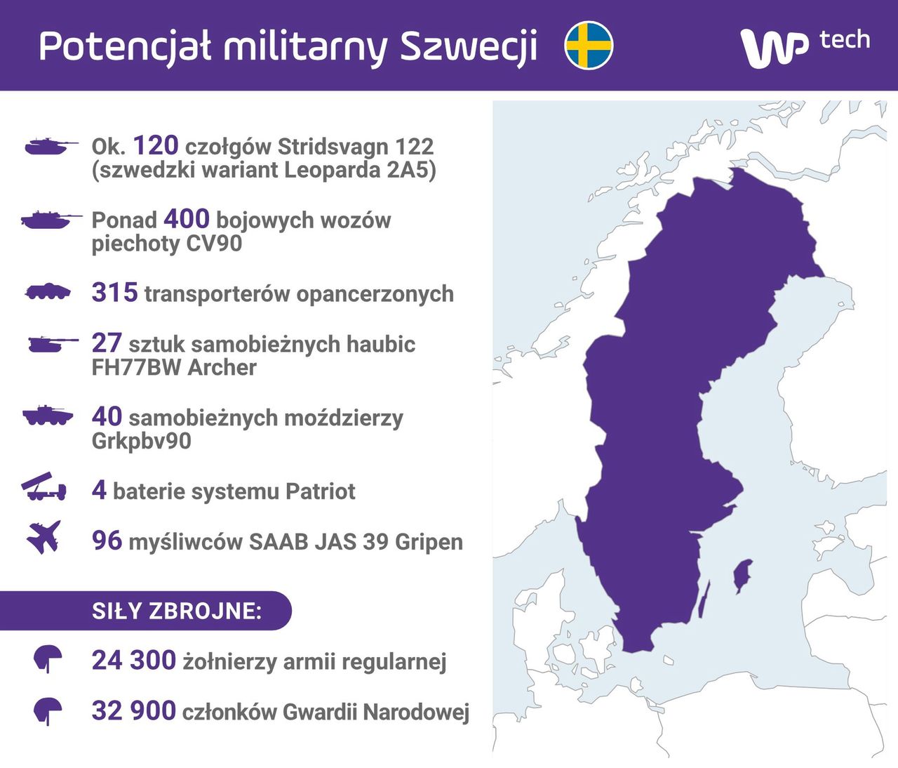 Potencjał militarny Szwecji. 