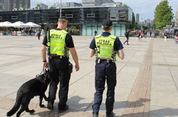 Szukają 20 osób do pracy. Takie jest wynagrodzenie