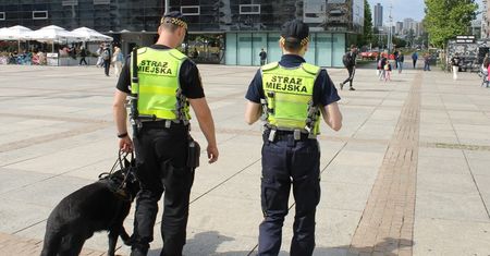 Szukają 20 osób do pracy. Takie jest wynagrodzenie