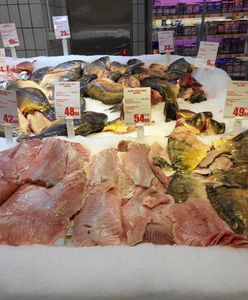 Cena karpia na święta. Ekspert podał prognozę