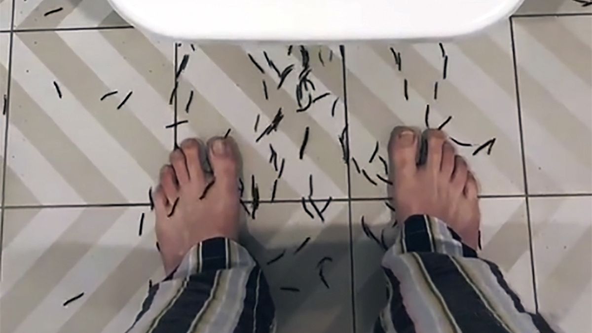 Mężczyzna podzielił się wstrząsającym nagraniem z Australii