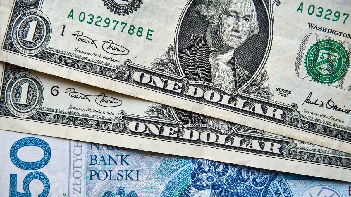 złoty dolar
