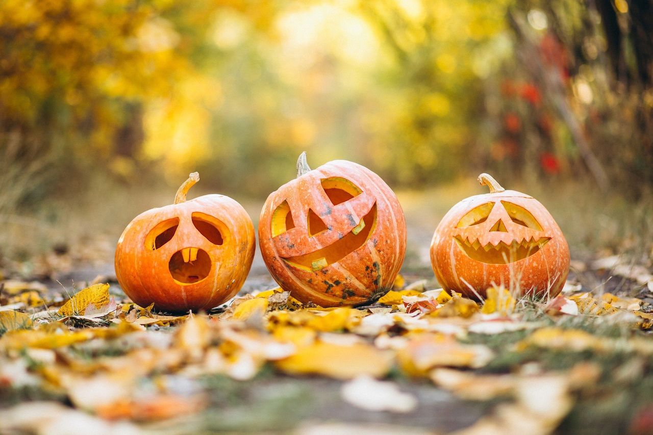 Woj. śląskie: Strasznie imprezowy weekend. Halloweenowe imprezy i wydarzenia na Zaduszki - sprawdź, co się dzieje w weekend 31.10 - 2.11