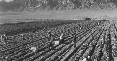 Ansel Adams sfotografował amerykańskie obozy koncentracyjne w czasie II Wojny Światowej