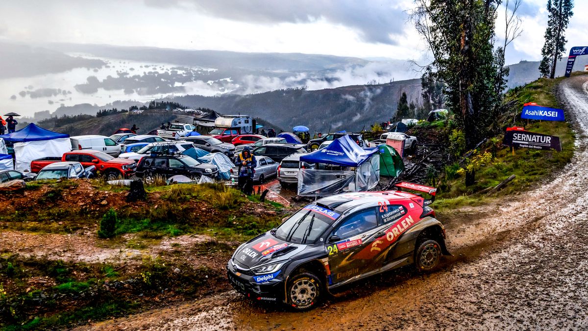 Materiały prasowe / kajto.pl / Na zdjęciu: Kajetan Kajetanowicz