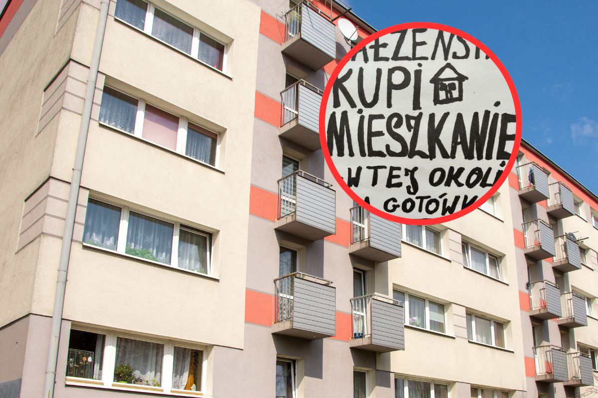 "Zaczynają chodzić po mieszkaniach". Flipperzy stosują nowe metody