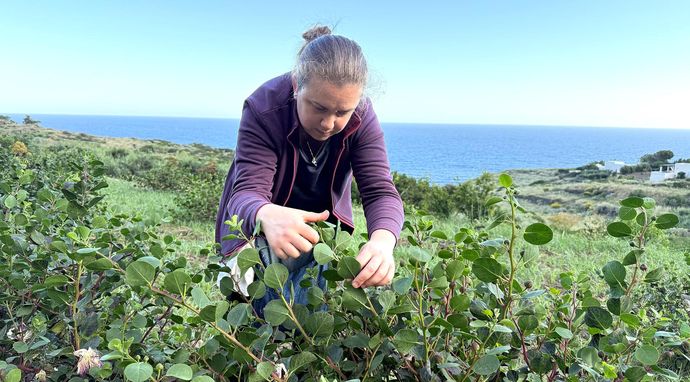 Sekrety świata przypraw 3