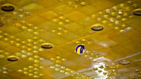 MŚ: Japonia blisko sensacji, Canarinhos w finale