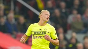 Zła wiadomość dla Realu Madryt. BVB ma pomysł na Haalanda