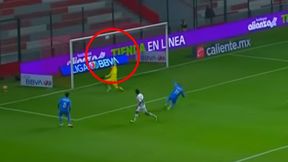 #dziejesiewsporcie: Co za parada! Szczęsny by się nie powstydził