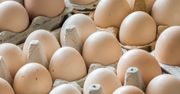 Ceny jaj w Niemczech i w Polsce. Różnica zaskakuje