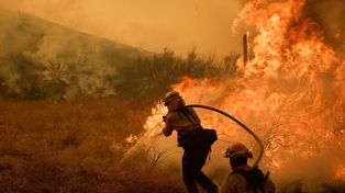Potężny pożar lasu Gifford szaleje w Kalifornii. W Phoenix (Arizona) padł rekord temperatury