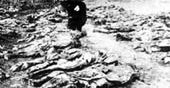 Polska historia najnowsza - kolejne przekłamania