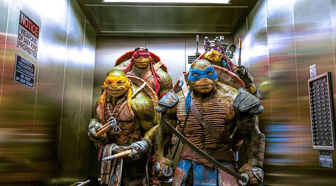 Wojownicze żółwie ninja