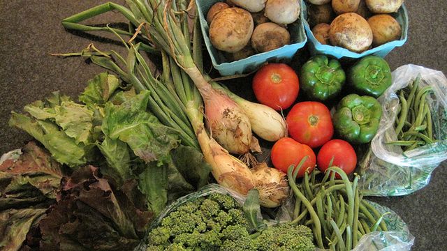 Warzywa na parze - przepis 1