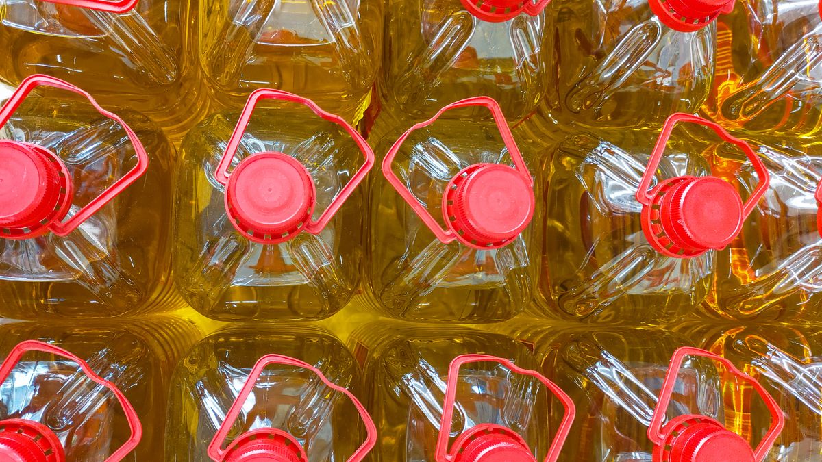 Olive oil bottlesOlive oil bottlesjapatino