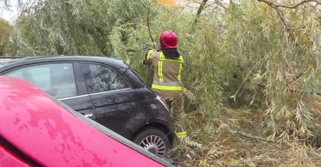 Silny wiatr przewracał drzewa i zrywał dachy.
