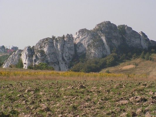 Obraz