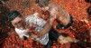 Kolumbijska "tomatina"