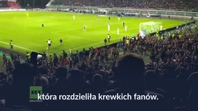 #dziejesiewsporcie: gorąco na meczu w Rosji. Wielka bijatyka wisiała w powietrzu