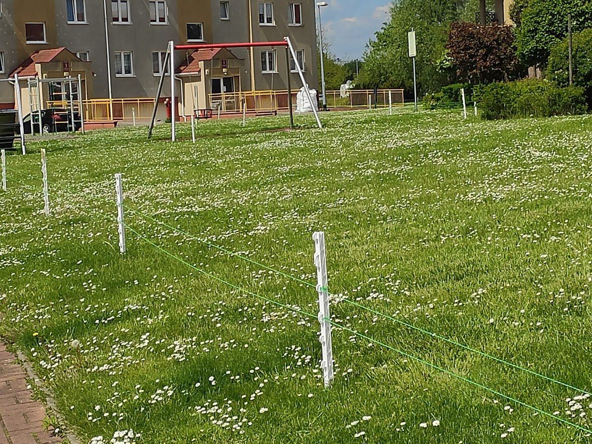 Pastuch elektryczny okala trawnik i plac zabaw na gdańskim osiedlu Łostowice