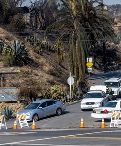 Policja w Los Angeles zatrzymała mężczyznę. "Możliwe podpalenie"