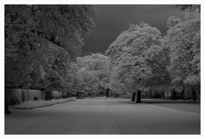 Jak ujarzmić czerń i biel w fotografii cyfrowej – część 1 [poradnik] 2