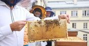 Bielsko-Biała: III Święto Miodu Województwa Śląskiego już w niedzielę