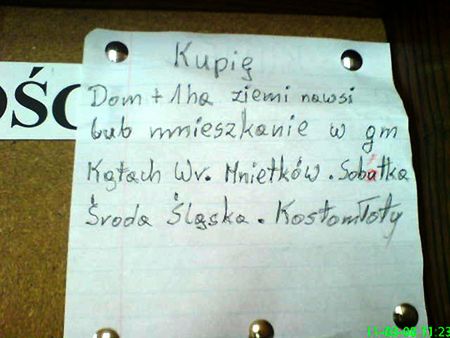 Obraz