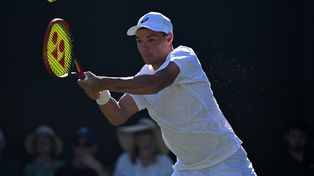 Majchrzak fantastycznie rozpoczął Wimbledon: pokonał Berrettiniego, finalistę sprzed czterech lat